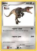 raptor