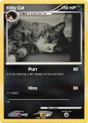 Kitty Cat