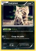 Chat priant
