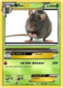 Rat