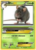 Rat