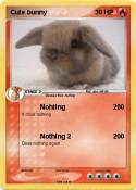 Cute bunny