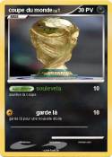 coupe du monde