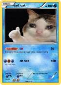 sad cat