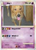 dog 1