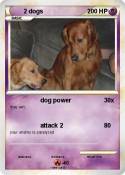 2 dogs