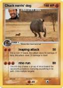 Chuck norris'