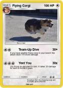 Flying Corgi