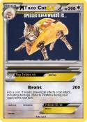 Taco Cat