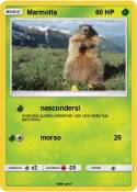 Marmotta