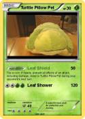 Turttle Pillow