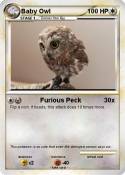 Baby Owl