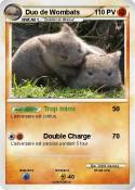 Duo de Wombats
