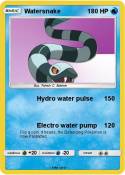 Watersnake