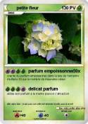 petite fleur