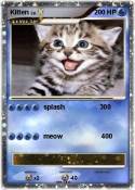 Kitten