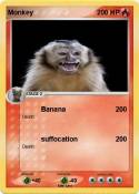 Monkey