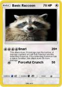 Basic Raccoon