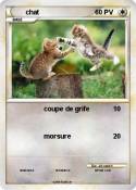 chat
