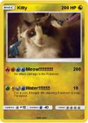 Kitty