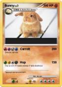 Bunny