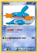 mudkip
