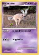 oeuf de chien