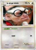 le singe intelo