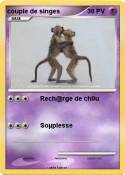 couple de singe