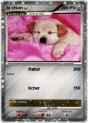 le chien