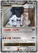 Cute Puppy Pell