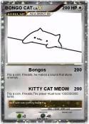 BONGO CAT