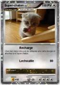 Super-chaton