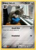 Sniper Cat