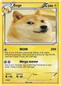 Doge