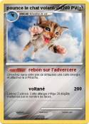 pounce le chat