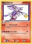 Blaze The Cat