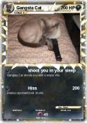 Gangsta Cat