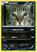 Mr.Cat EX
