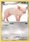 pig