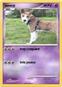 basenji