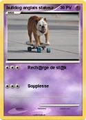 bulldog anglais