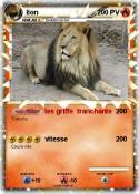 lion