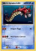 Mike's Gyrados