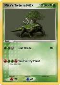 Mike's Torterra
