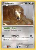 Phoebus