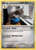 Snicat