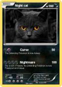 Night cat