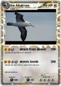 the Albatross