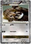 bebe guepard
